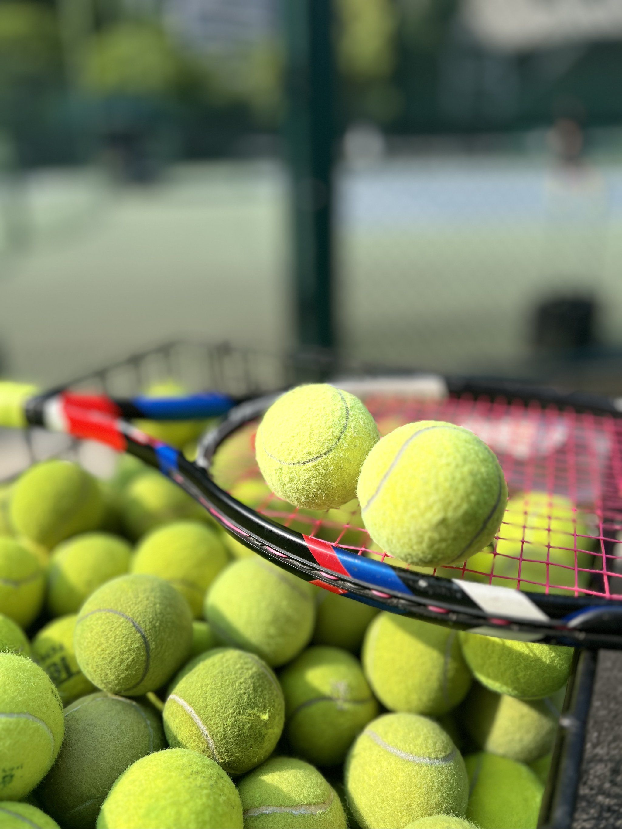 合理的身体 合理的身体